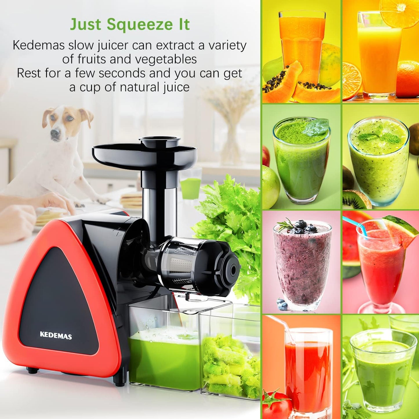 Portable Juicer, Low Noise, Easy Clean, 150W
